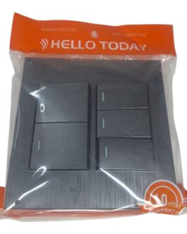 Charcoal 5-Lever 1-Way Switch (4×4)