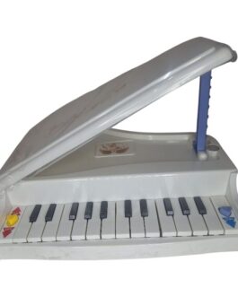 Toy Dream Piano with Lights + Music